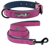A Purple